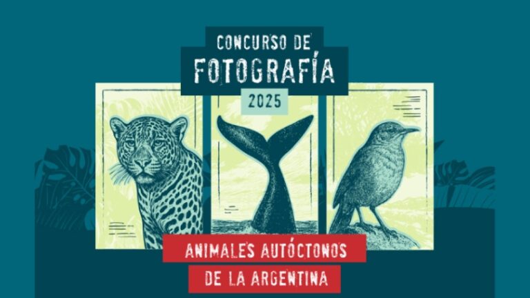 Lee más sobre el artículo Concurso de Fotografía 2025 «Animales autóctonos de la Argentina»